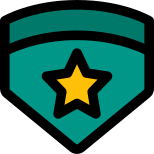 Double emblem with star insignia badge for high ranking officer icon