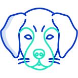 Chien icon