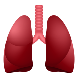 Lungen-Emoji icon