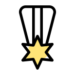 Star medal for the navy seals officers icon