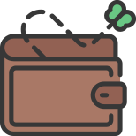 Empty Wallet icon