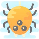 Aranha icon