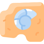 Fossil icon