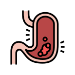 Gastric Disease icon