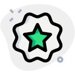 Star label sticker isolated on a white background icon