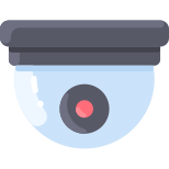 Ip Camera icon