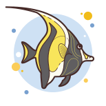 Moorish Idol icon