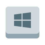 clé Windows icon