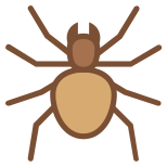 Aranha icon