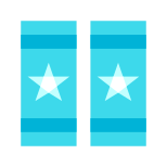 Eletivo icon