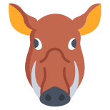 Boar icon