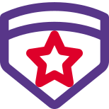 Double emblem with star insignia badge for high ranking officer icon