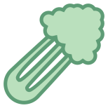 Celery icon