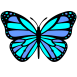 Blue Buttefly icon