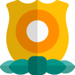 Medal for the Homeland security with shield and circle icon