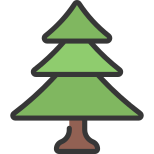 Sapin icon