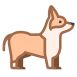 柯基犬 icon