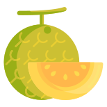 Melon icon