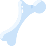 Femur icon