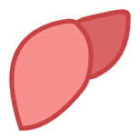 Liver icon