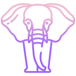 Elephant icon