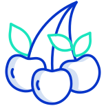 Berry icon