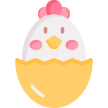 小鸡 icon