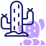 Cactus icon