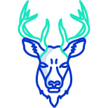 Deer icon