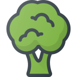 Broccoli icon