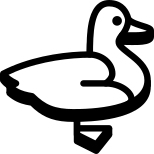 Canard icon