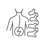 Degenerative Scoliosis icon