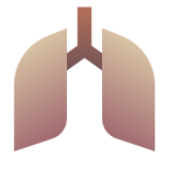 Pulmones icon