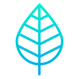 Leaf icon