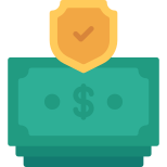 money shield icon