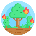 Forest Fire icon