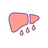 Fatty Liver Disease icon