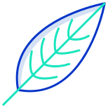 Heliconia Leaf icon