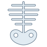 Skeleton icon