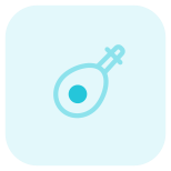 Ukulele Russian traditional instrument for music playback icon