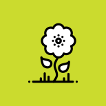 Blossom icon