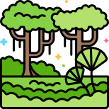 Rainforest icon