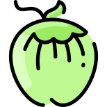 Coconut icon