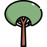 Árbol icon