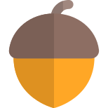 Acorn autumn oak thanksgiving celebration day nut icon