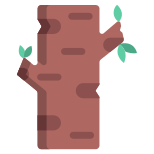 Birch Tree icon