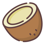 Coconut icon