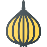 Onion icon