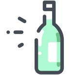 Wine Bottle icon