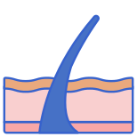 Epidermis icon